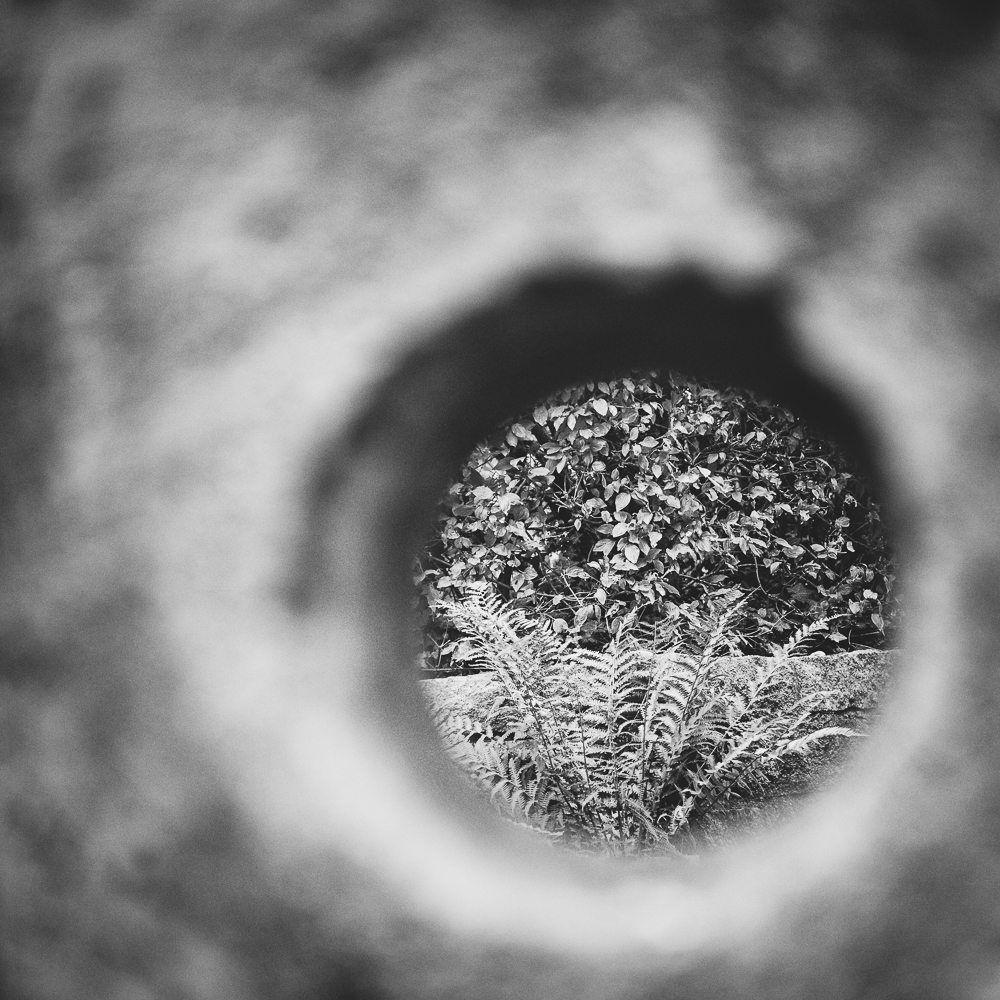 The ZEN of photography - 2013 -2023