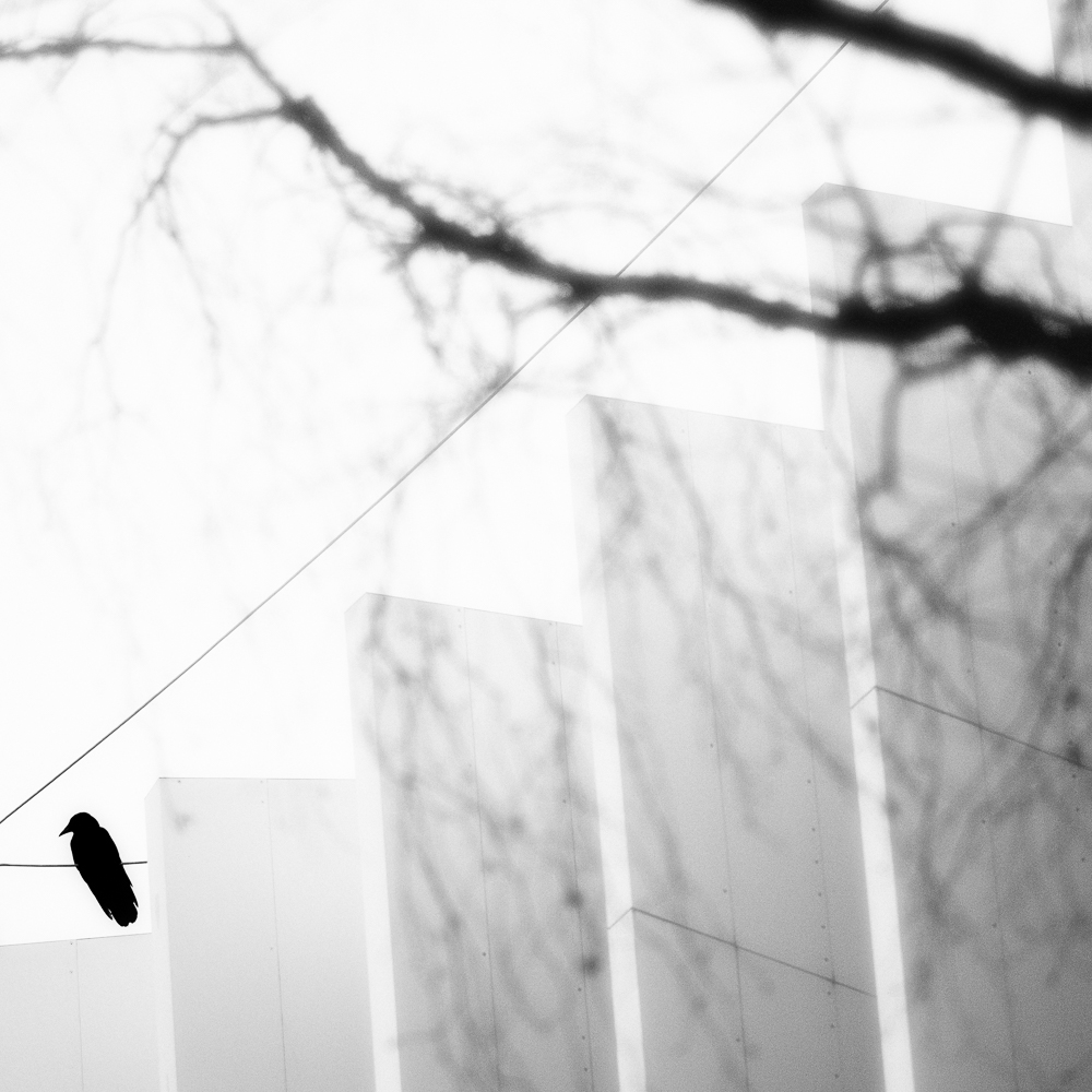 Anton Bruckner Privat Universtität - 2018 - 2023