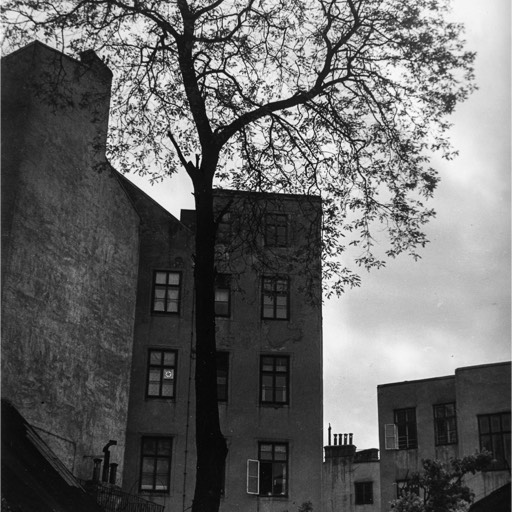 Ratzenstadl – Hinterhäuser, 1060 Wien, 1.5.1939, Fotograf:in unbekannt.
Sammlung Koeppel, Kat. Nr. H2025.293.