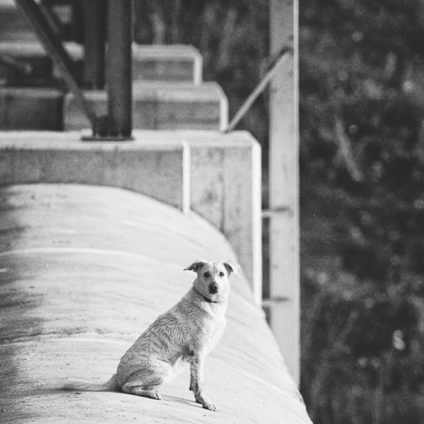 Dakota - 2005 © Herbert Koeppel - Kat. No. D20230910.4