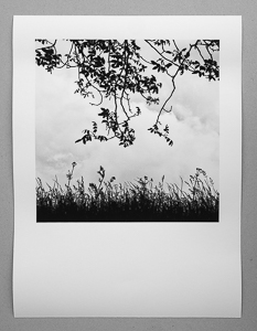 Gratis-Print des Monats Mai 2025