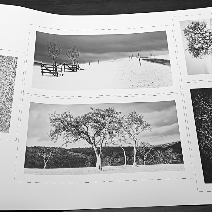 Deine Fotografie, Dein Print - Dein Preis