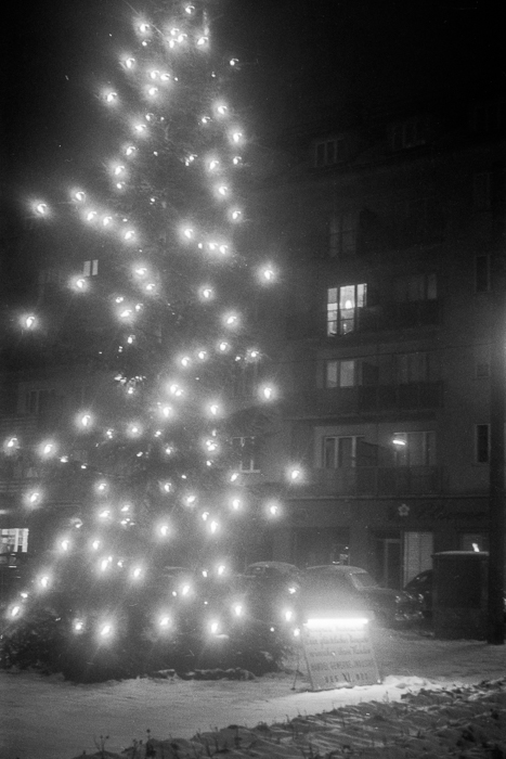 Weihnachtsbaum am Eckplatz, Eckplatz, 11. Bezirk Wien. Wahrscheinliches Aufnahmedatumum 1960. Fotograf: Spatzierer Gerhard / Sammlung Herbert Koeppel