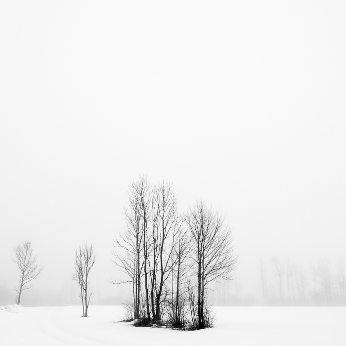 Forms of Xeis - 6.- 8.3.026