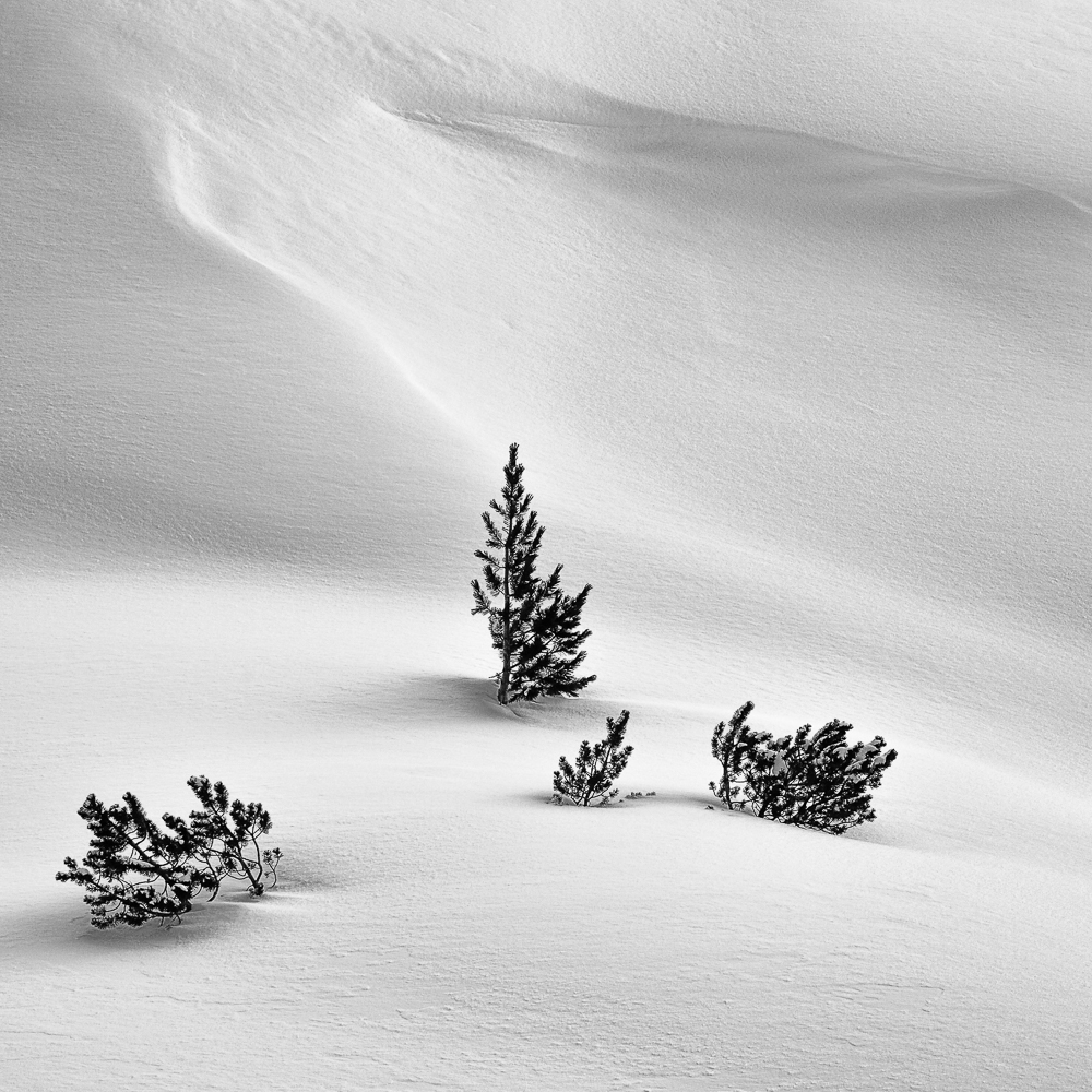 Minimalistiic Winter Landscape - 13.3. - 15.3.2026 