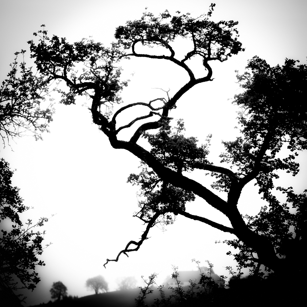 Workshop  -Mostviertel Impuls-Fototage - 18.04. und/oder 19.04.26