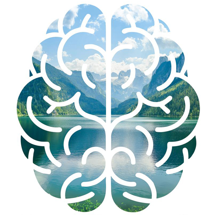 the brain at rest - Ruhe ist weise. Eine Leseempfehlung.