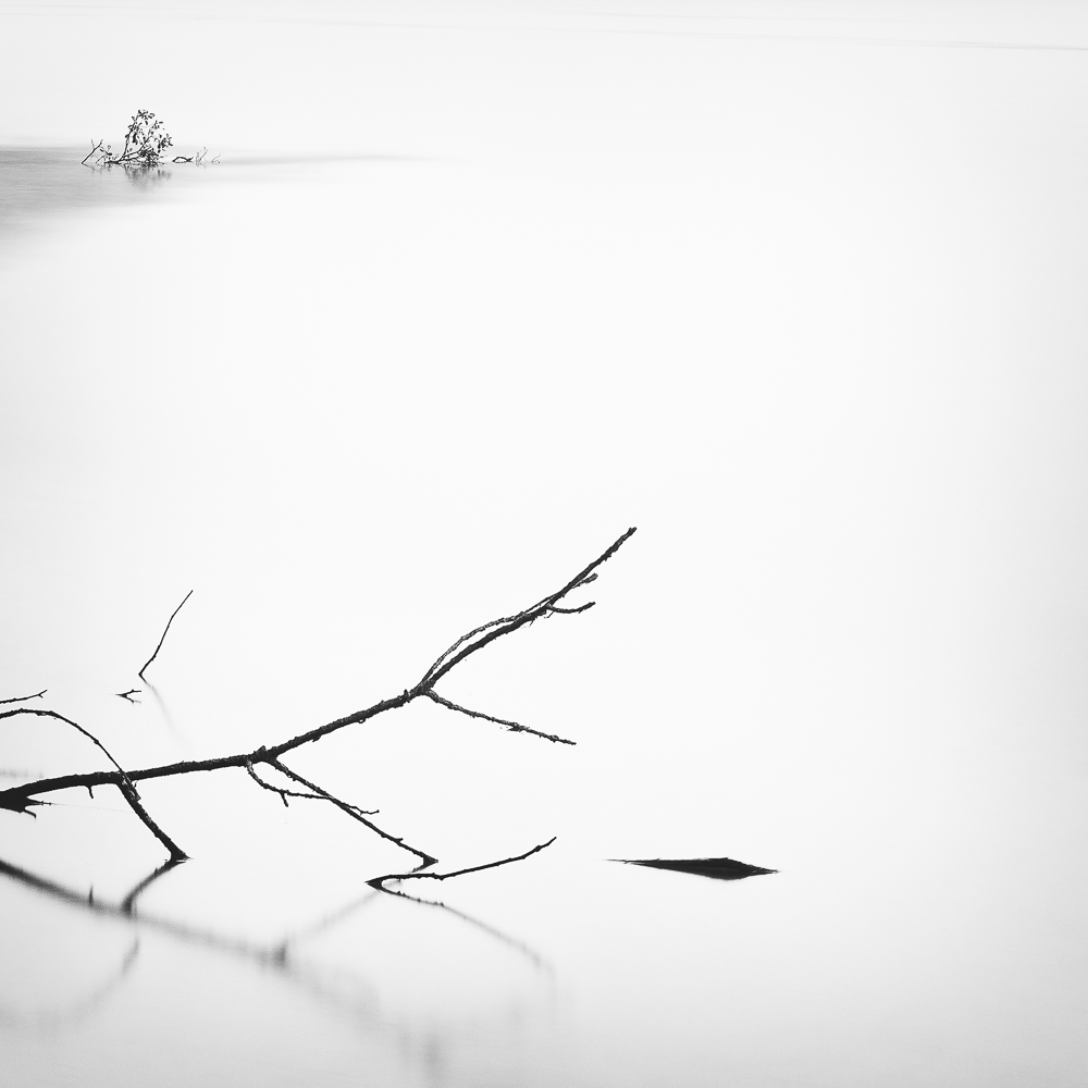 Quiet lake I