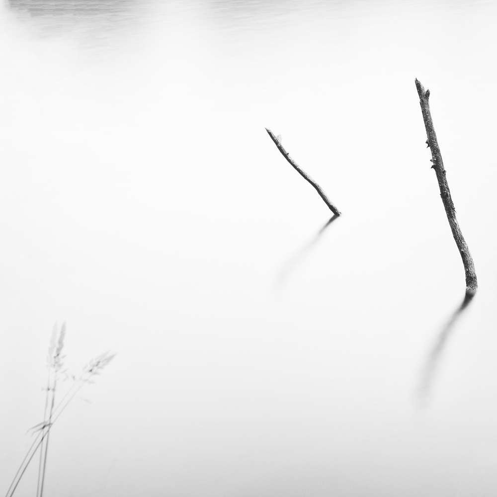 Quiet lake III 