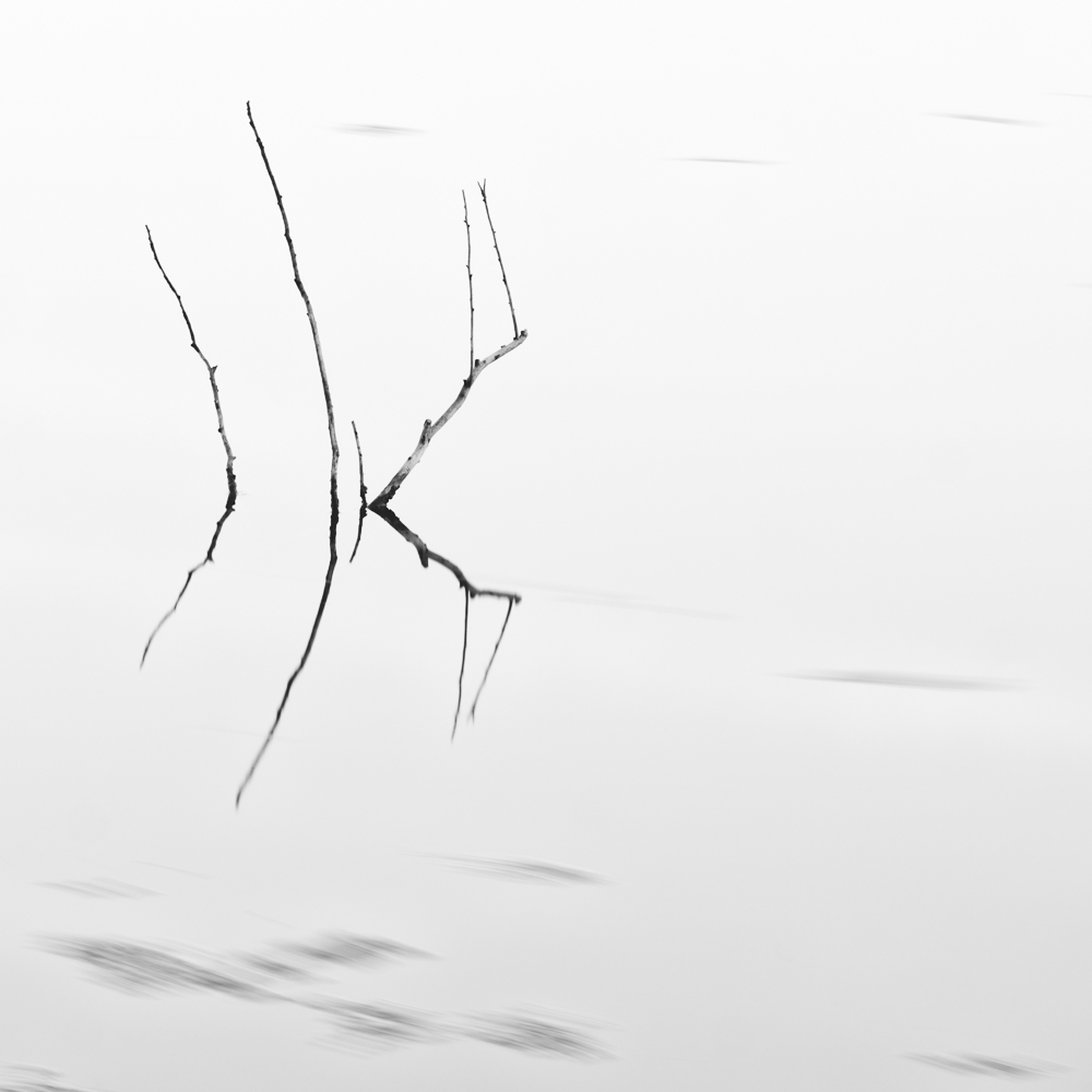 Quiet lake II