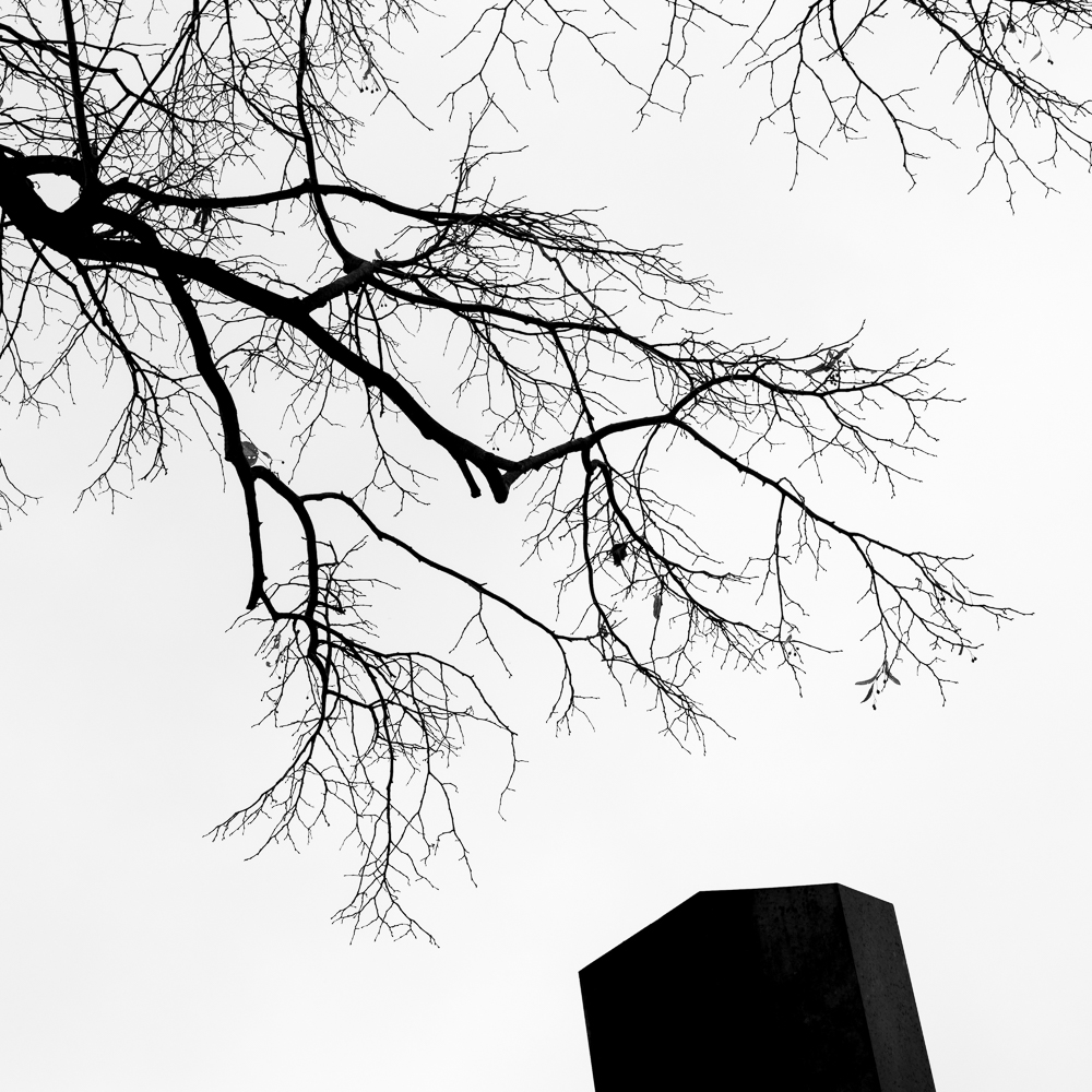 Wiener Zentralfriedhof - Vienna Central Cemetery (2015-2024)