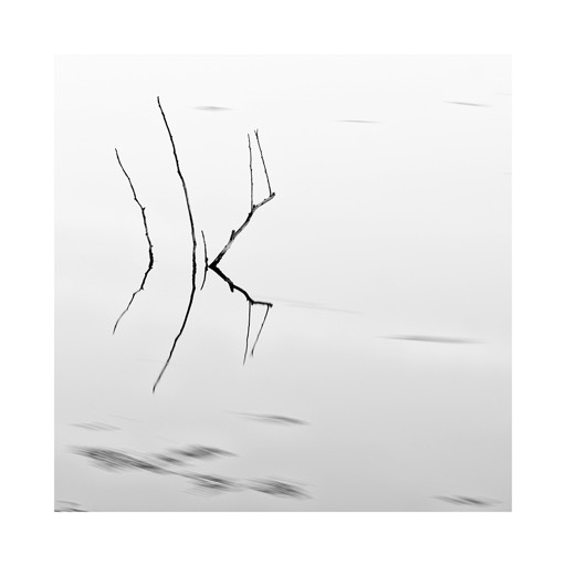 Kat. No. D422418 - Minimalismus am See #1 - Upper Austria, Austria. 2024 |  € 20,- / € 28,- / € 40,-  | Print #1 - Natural Line Hahnemühle Agave 290g