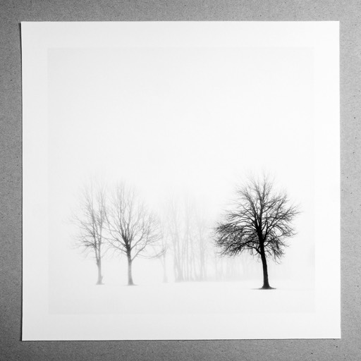 Kat. No.: D710 - Winter silence III, Region Nationalpark Gesäuse, Austria. 2017 | € 20,- / € 28,- / € 40,- | Print #5 auf Hahnemühle PhotoRag Ultra Smooth 305g 