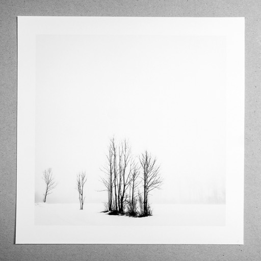 Kat. No. D3064 - Winter silence I, Gesäuse, Styria, Austria. 2017 | € 20,- / € 28,- / € 40,- | Print #6 auf Hahnemühle PhotoRag Ultra Smooth 305g 