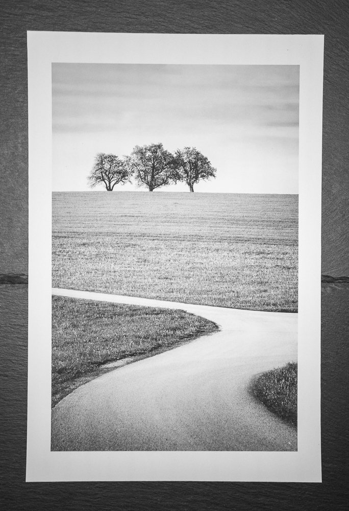 Gratis Print - April  2026 / Ausgabe #25