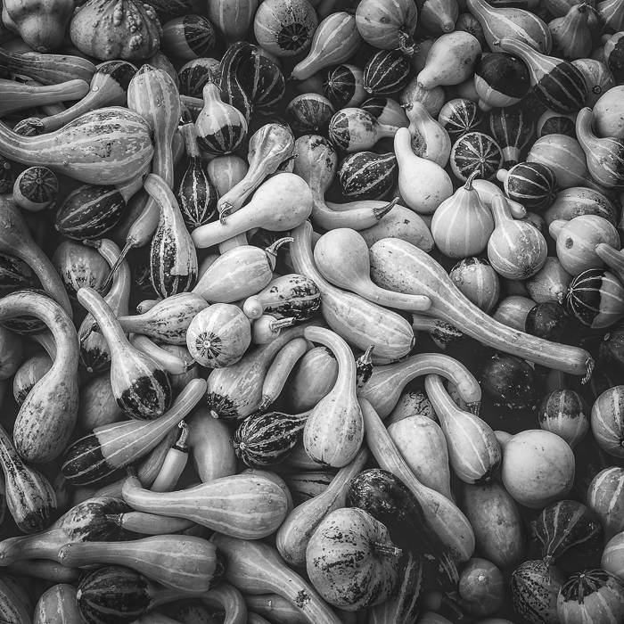 Gratis Print - Oktober 2025 / Ausgabe 19