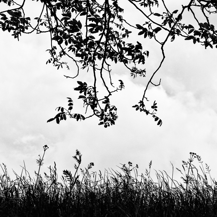 Gratis Print - Mai 2025 / Ausgabe 14