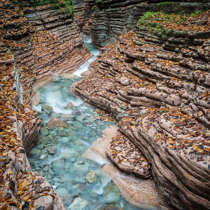 Gratis Print - Dezember 2024 / Ausgabe 9