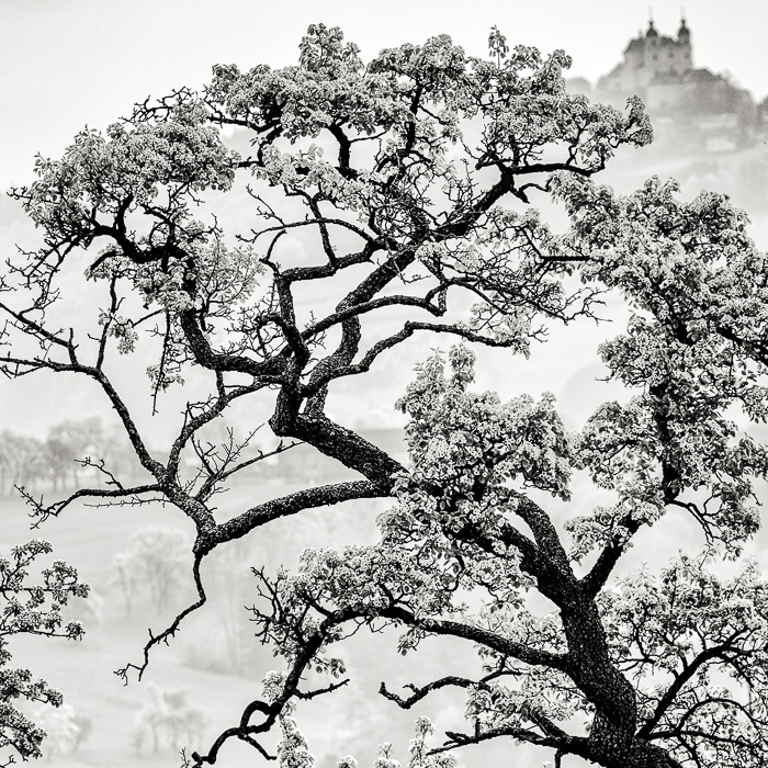 Gratis Print - April 2024 / Ausgabe 1