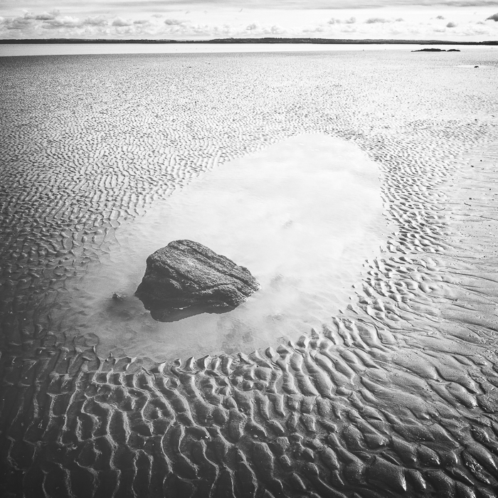 Gratis - Print- Juni 2024 / Ausgabe 3