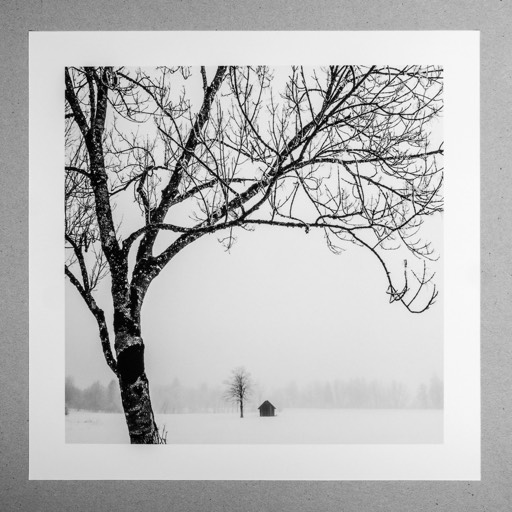 Kat. No. D801 - Kat. No. D801 - Winter im Gesäuse | Gesäuse, Styria, Austria. 2019 - Print #2 auf Canson Baryta Photographique II Matt 210g - € 18,- / € 25,- / € 36,- 
