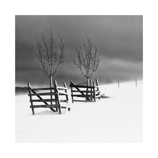 Kat. No. D2024.4 - Winter Study #2, Lower Austria, Austria. 2023 | € 20,- / € 28,- / € 40,-  | Print #2 - Hahnemühle Matt Fiber 200g