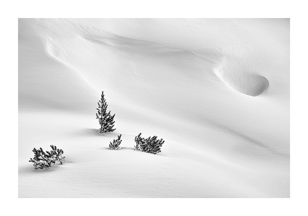 PRINT WINTER FORMS