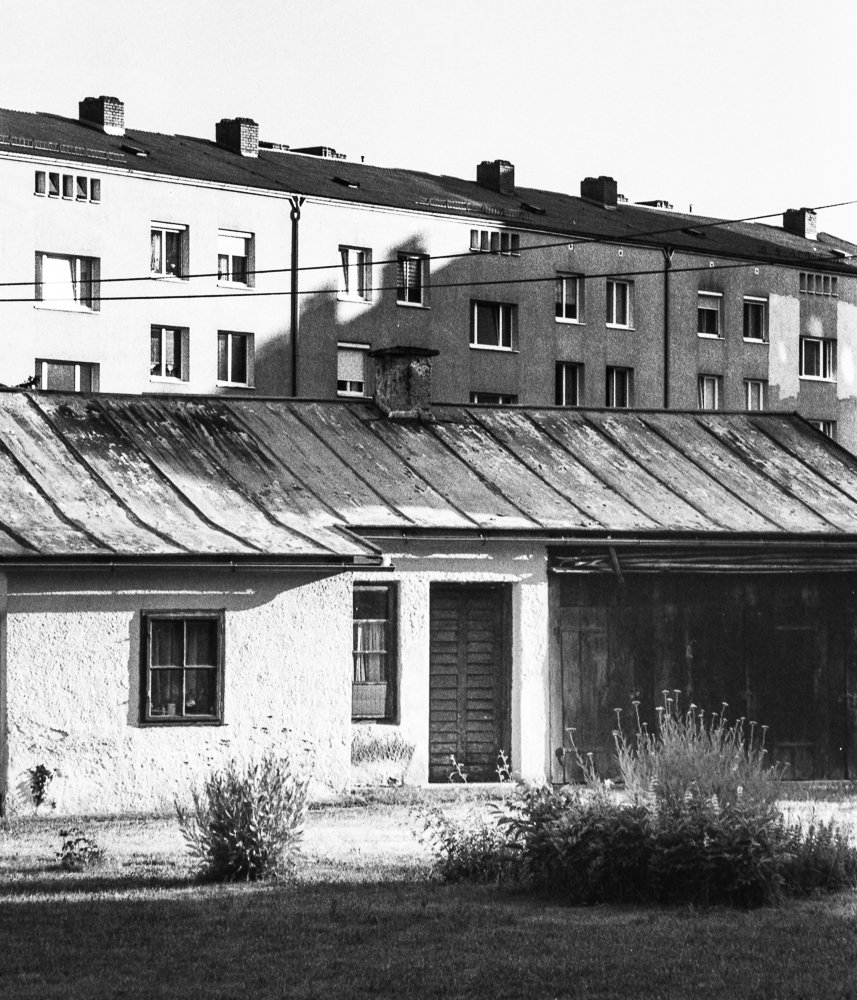 Linza.Hatscha - Kleinmünchen - Auwiesen