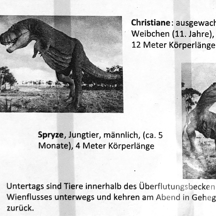 jurassic wienfluss