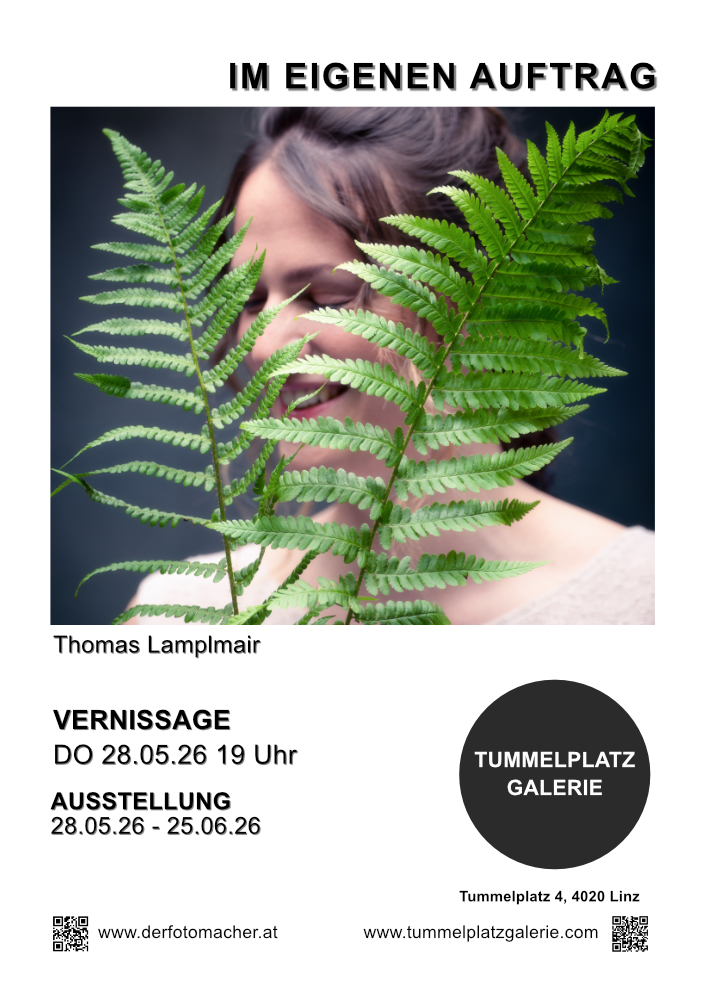 Im eigenen Auftrag - Thomas Lamplmair

