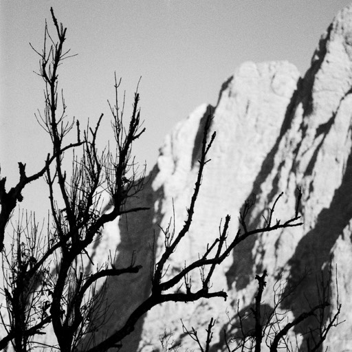 Workshop Forms of Xeis - Zeitlose Schwarzweiss Fotografie im Nationalpark Gesäuse | Tour+Mentoring