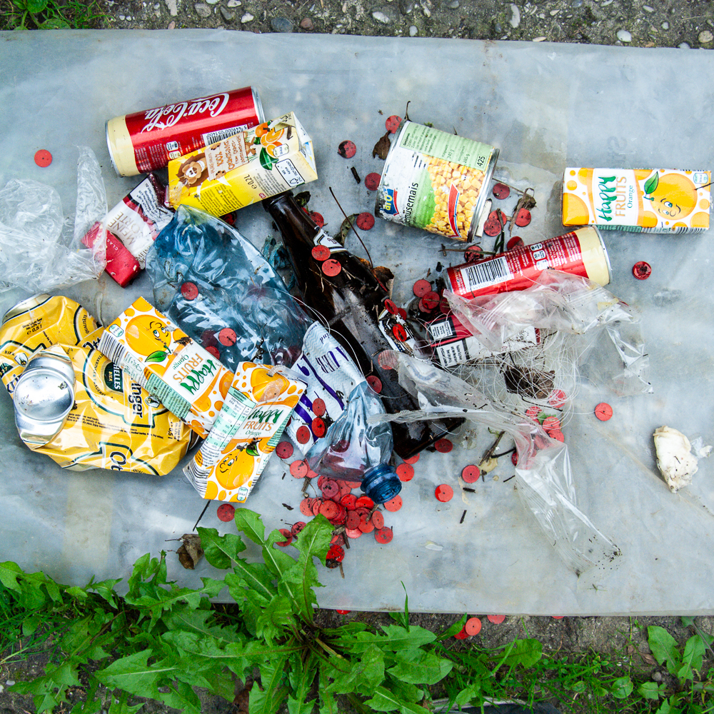 Fotografien und Müll sammlen in den Traun-Donau Auen - World Cleanup Day 2025