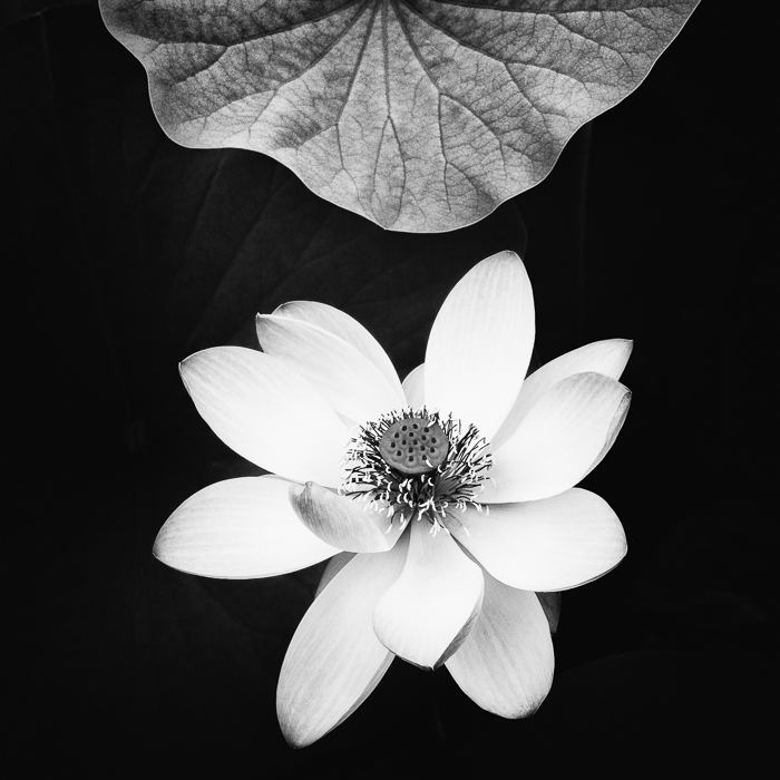 Workshop  Fotografie & Meditation - The ZEN of Photography