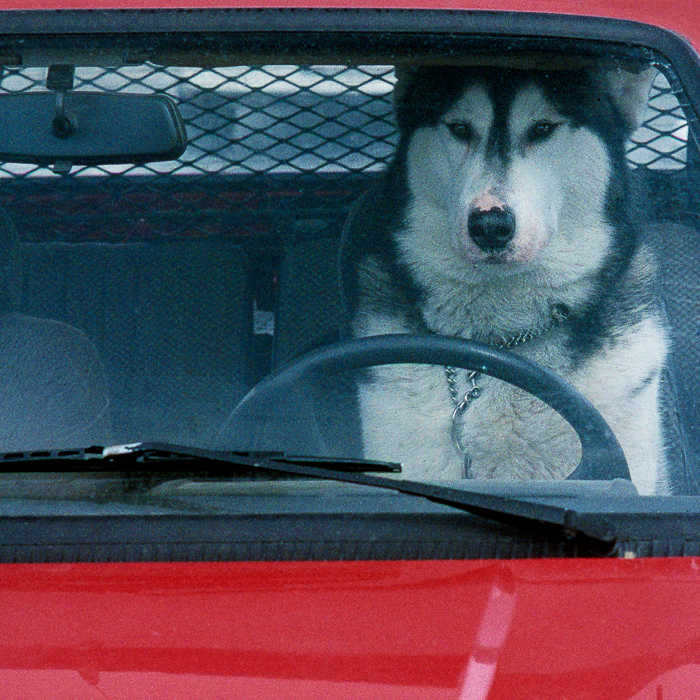 Kaffee, Kuchen & der Einsteig in die Fotografie